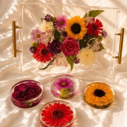 Clear Tray and Coaster set of 4 Bundle